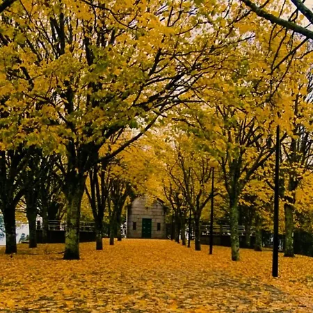 Vila Nazare * קסטרו דאירה