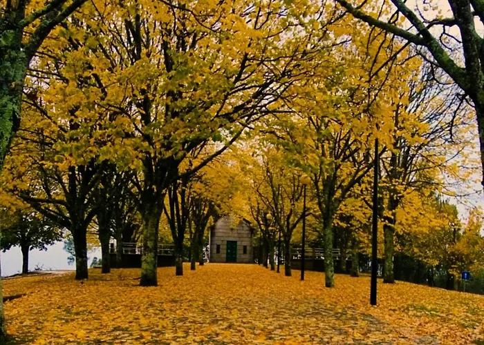 Vila Nazare * Каштру-Дайри